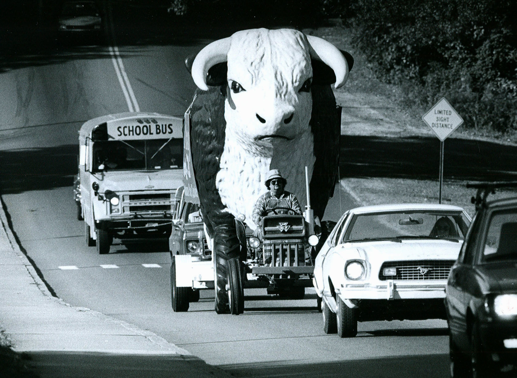 MASCOT